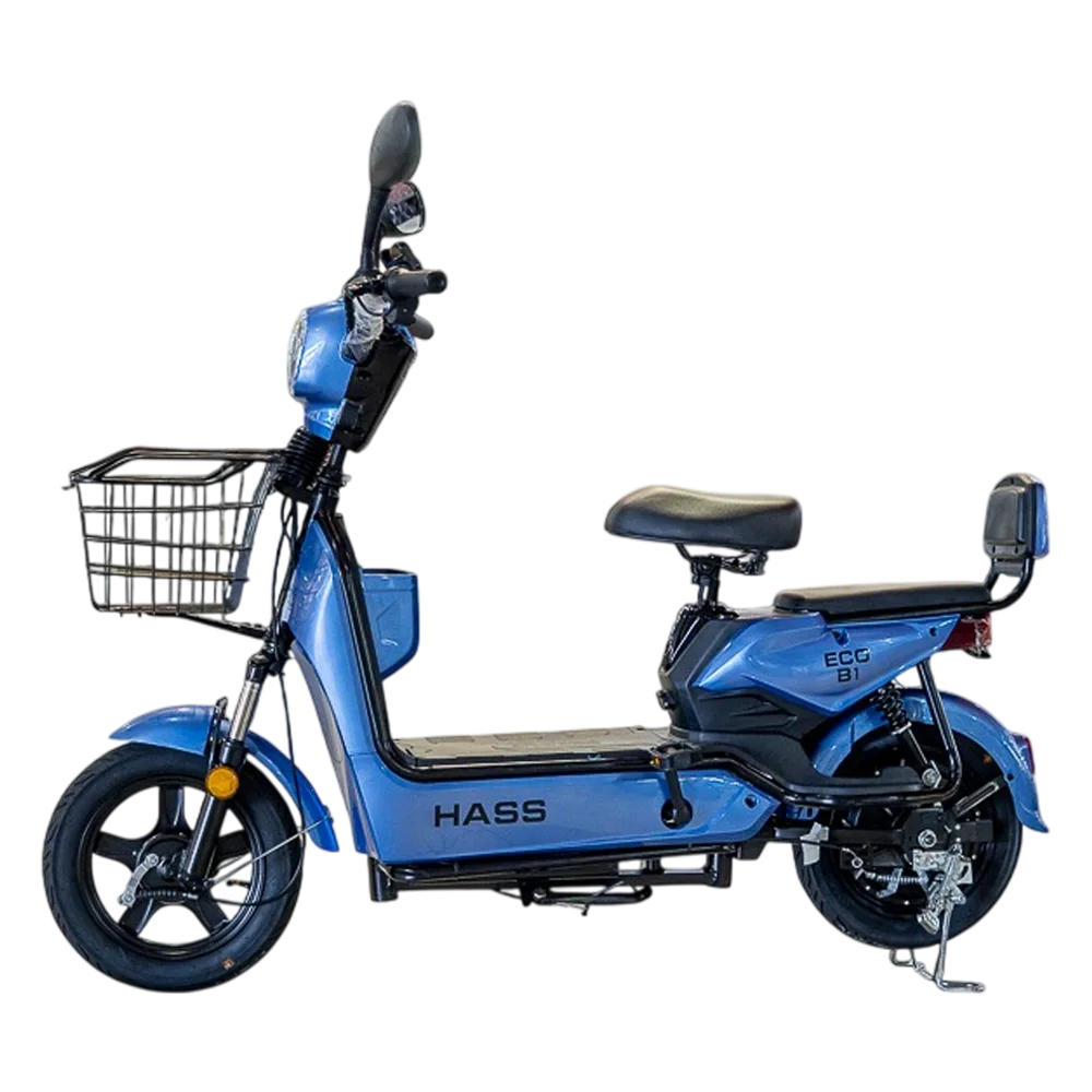 Hass Eco B1