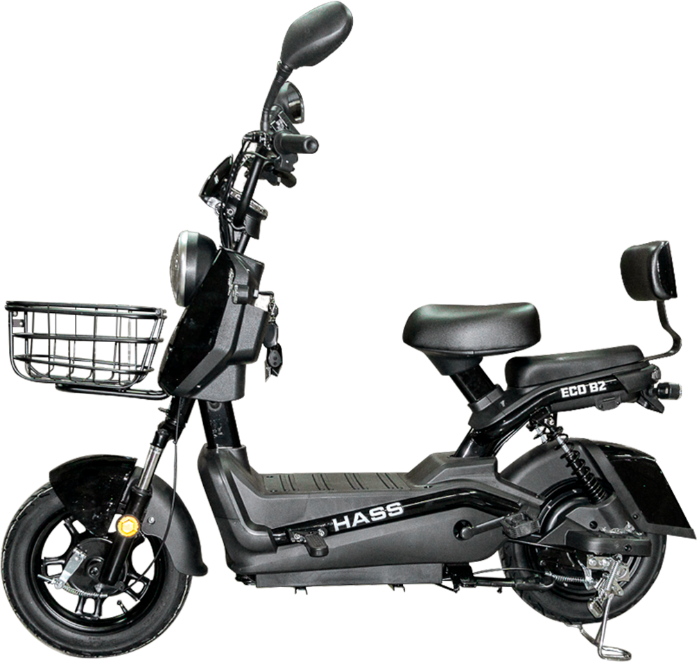 Hass Eco B2