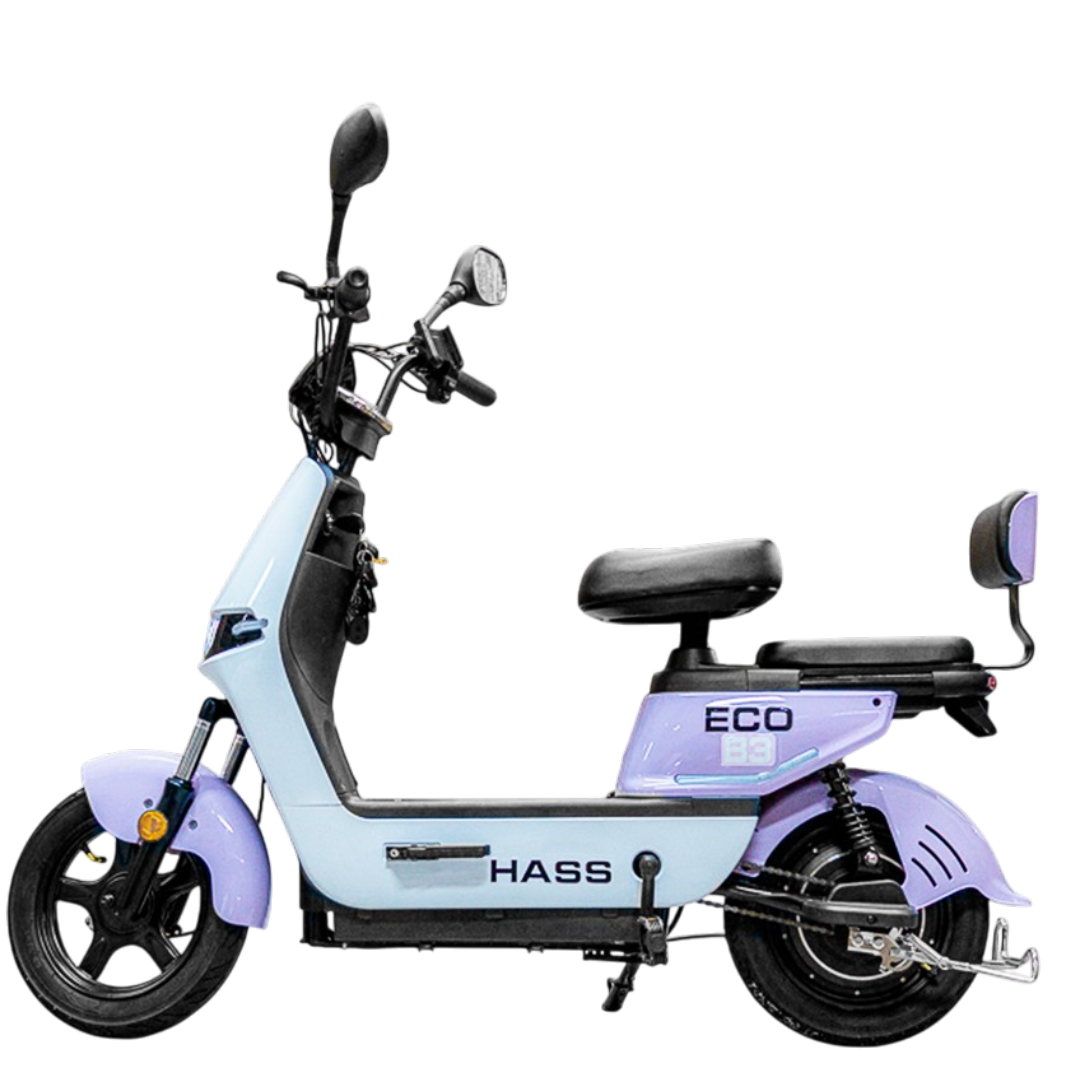 Hass Eco B3
